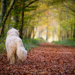 Maddy ouvre la marche Maddy ouvre la marche