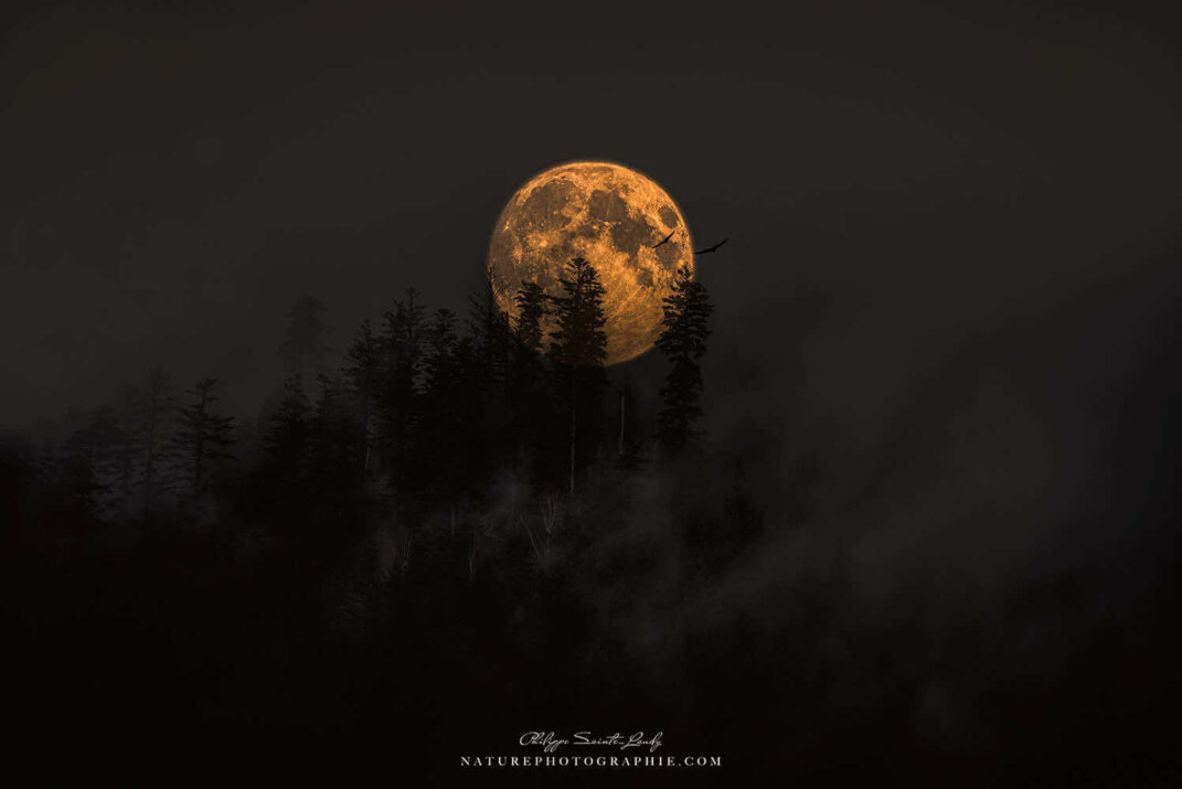 Pleine lune dans les Vosges