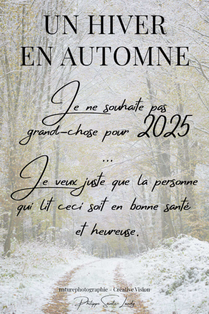 Bonne-année-2025