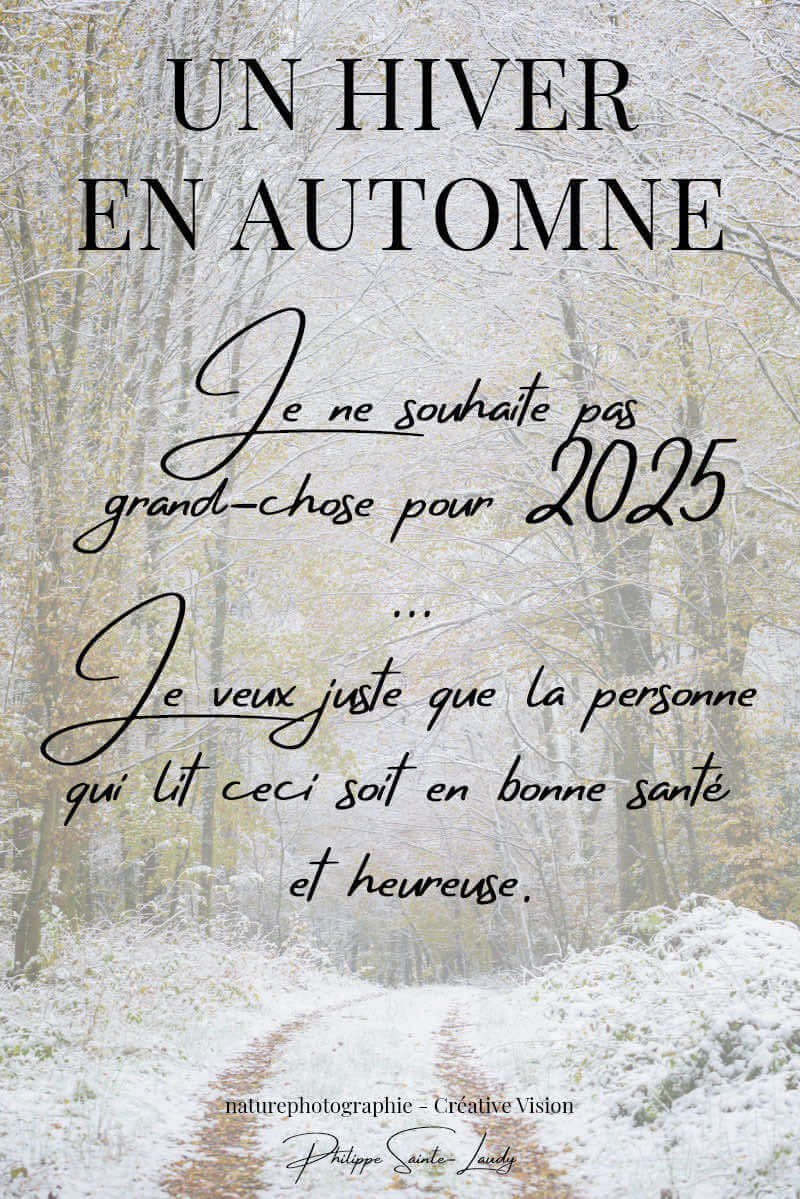 Bonne-année-2025