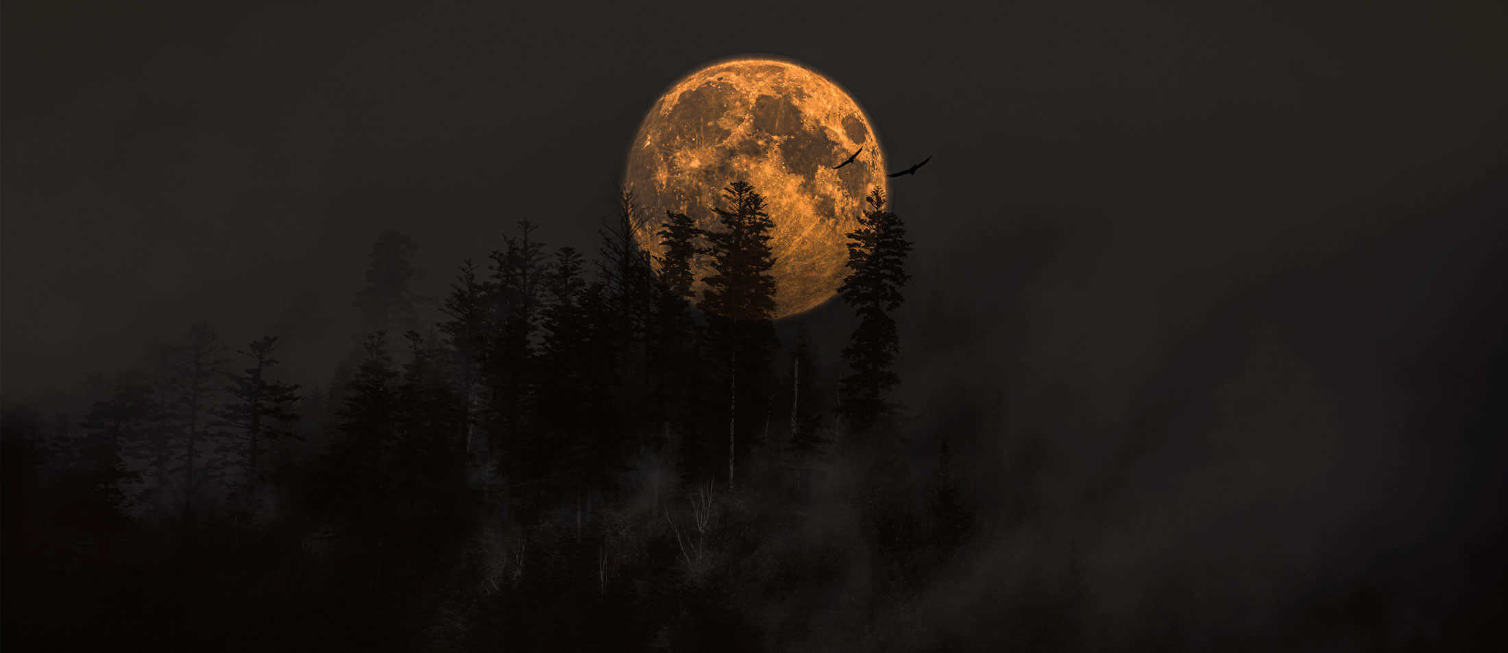 Pleine lune au sommet des Vosges