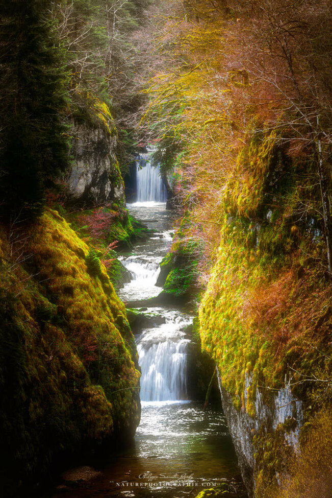 Cascade De La Billaude