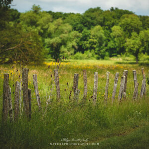 Another Place Another Place