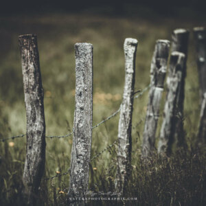 Nowhere to Run Nowhere to Run