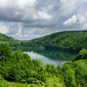 Without A Trace Without A Trace