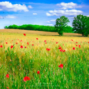 Come And Find Me Come And Find Me