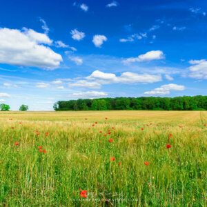 Take This Hurt Away Take This Hurt Away