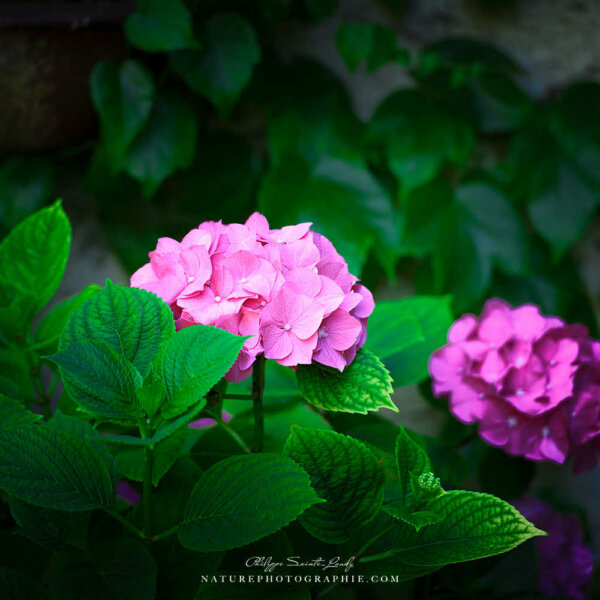 There’s Sometnig About You There's Sometnig About You