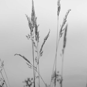 Things Of This Nature Things Of This Nature