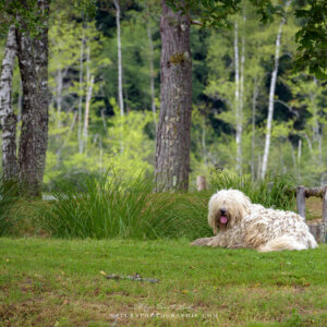 Maddy en pose Maddy en pose