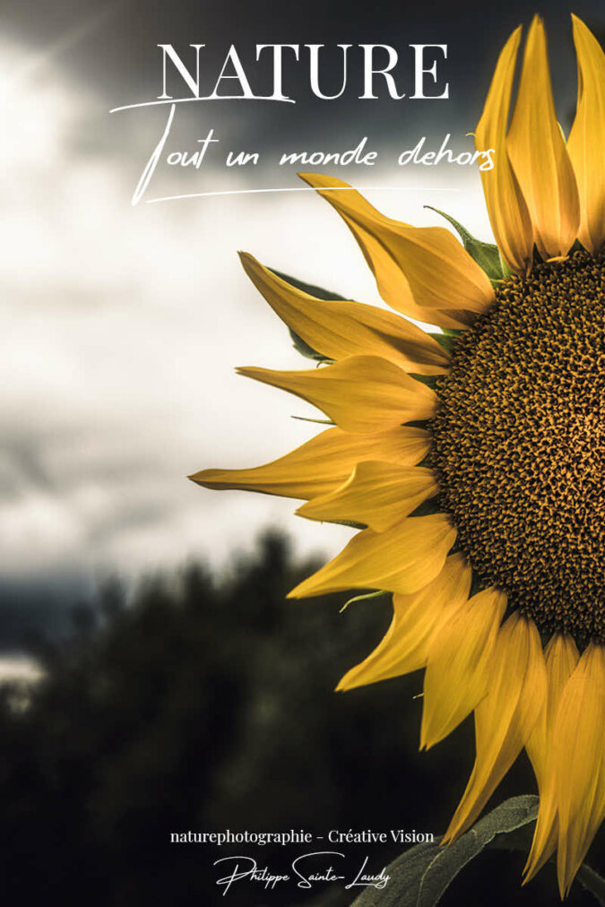 Photos-d’été-à-la-campagne