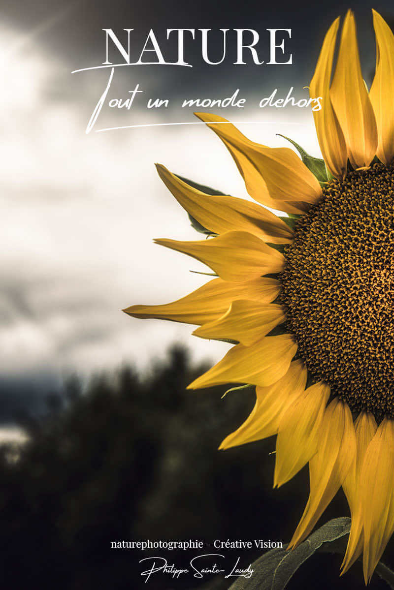 Photos-d’été-à-la-campagne