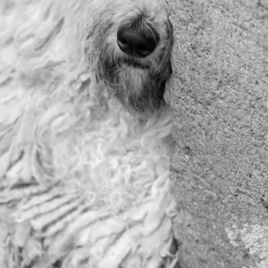 Maddy pensive Maddy pensive