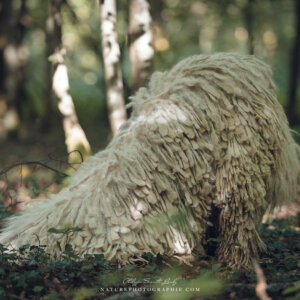 Maddy, la tête dans le trou Maddy, la tête dans le trou