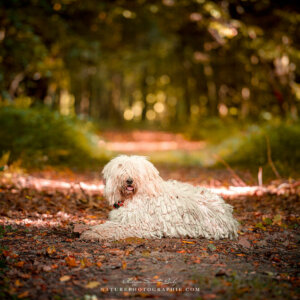 Maddy, la star ;) Maddy, la star ;)