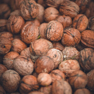 Noix du jour Noix du jour
