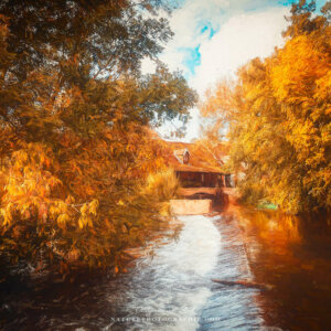 The Old Mill The Old Mill