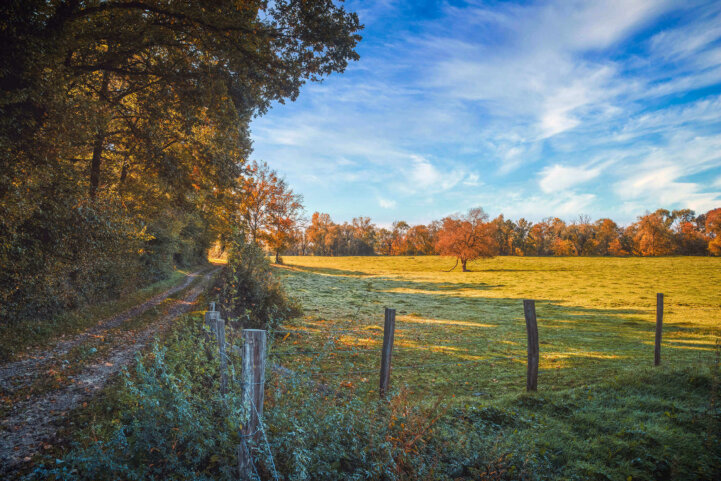 Campagne en automne