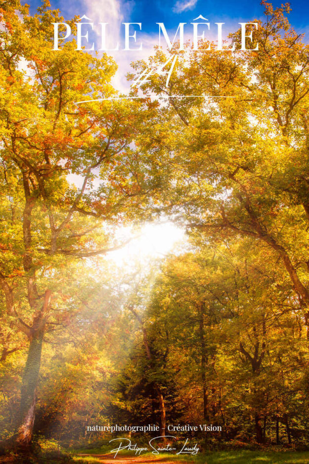 Photos d'automne en vrac