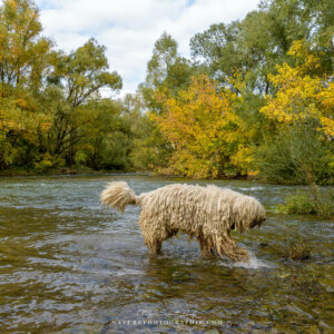 Maddy au fil de l'eau