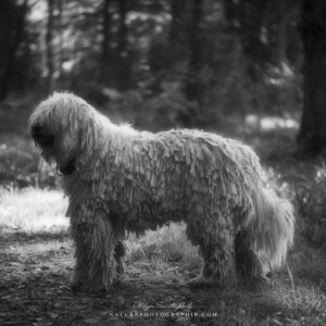 Maddy en nor et blanc