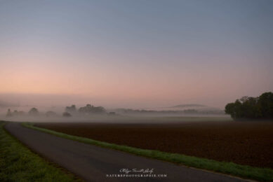 Paysage brumeux en automne