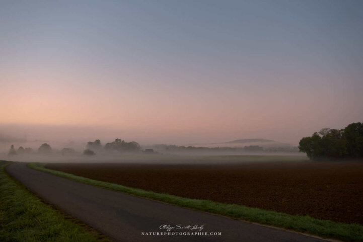 Paysage brumeux en automne