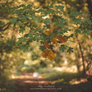 What's Still Happening