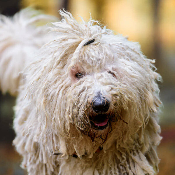 Maddy – Portrait Maddy - Portrait