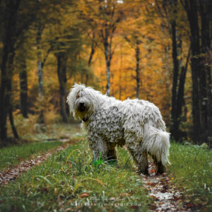 Maddy sur les chemins Maddy sur les chemins