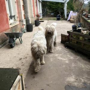 Les parents de Maddy