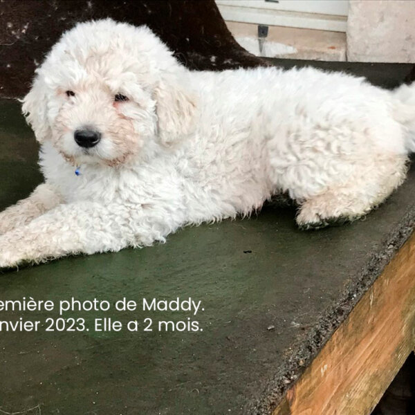 Maddy a 2 mois