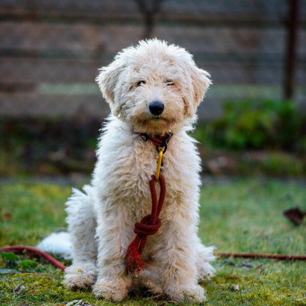 Maddy dans le jardin Maddy dans le jardin