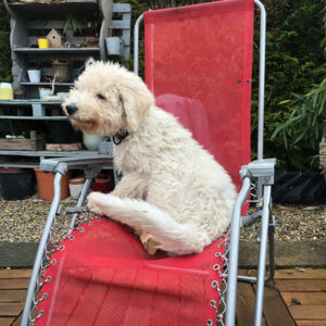 Maddy sur son transat