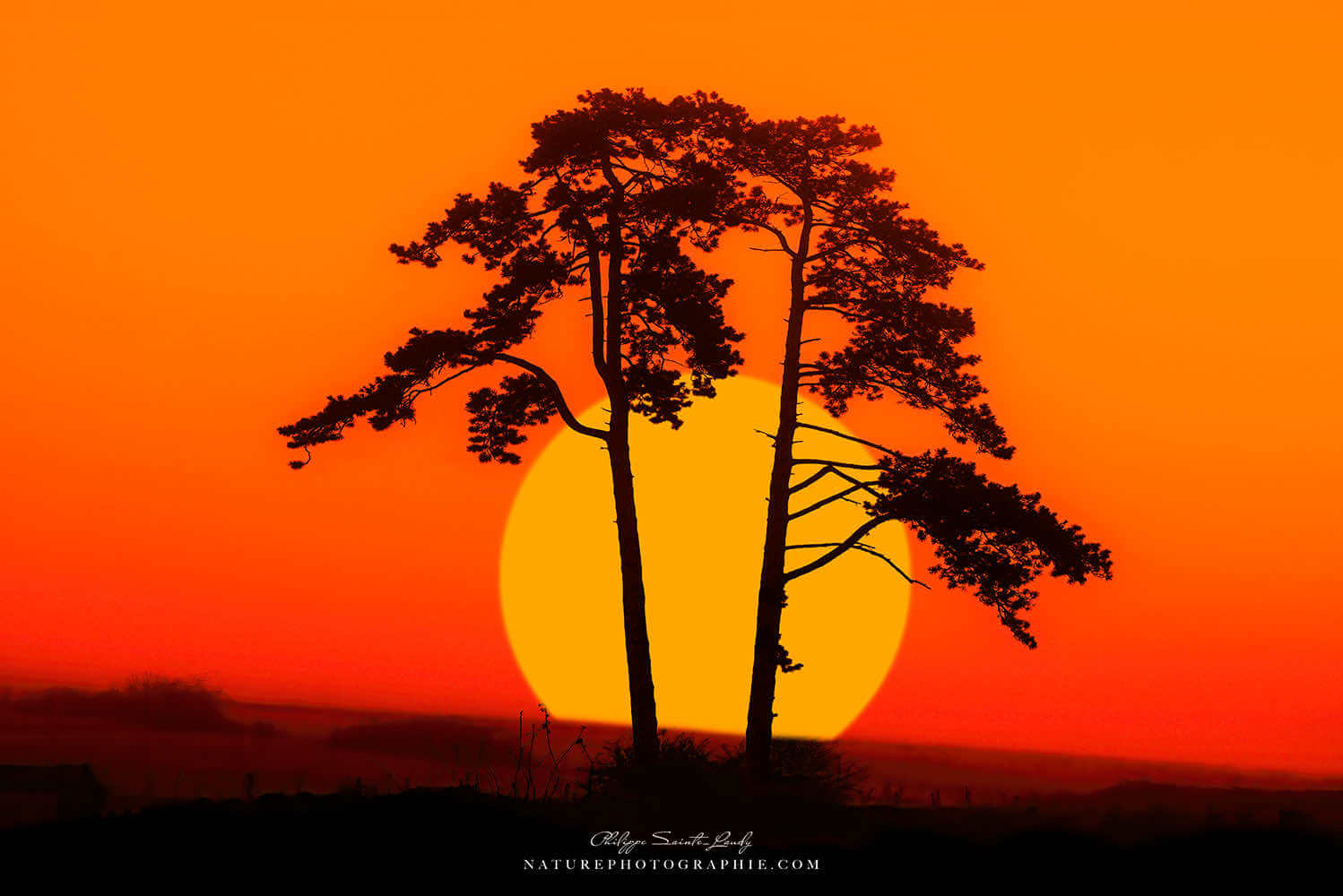 Coucher de soleil orange