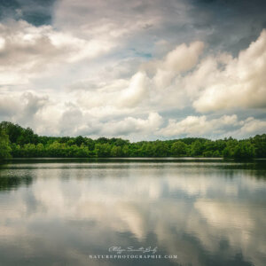 Clouds in the Sky