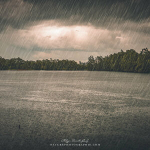 Endless Rainy Day
