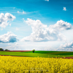 Gentle May Countryside