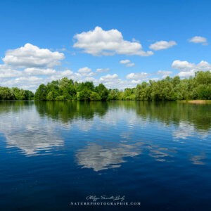 Liquid Blue Sky