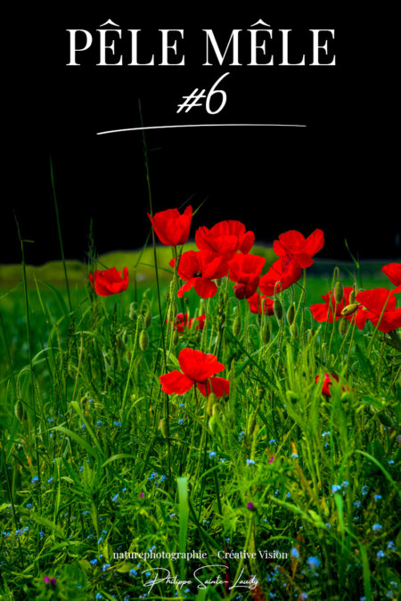 Menu icon