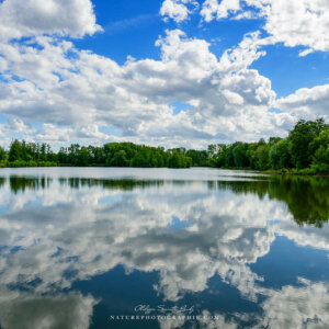 A Day with Clouds