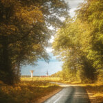Route mouillée en campagne