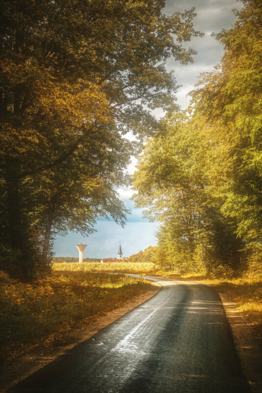 Route mouillée en campagne