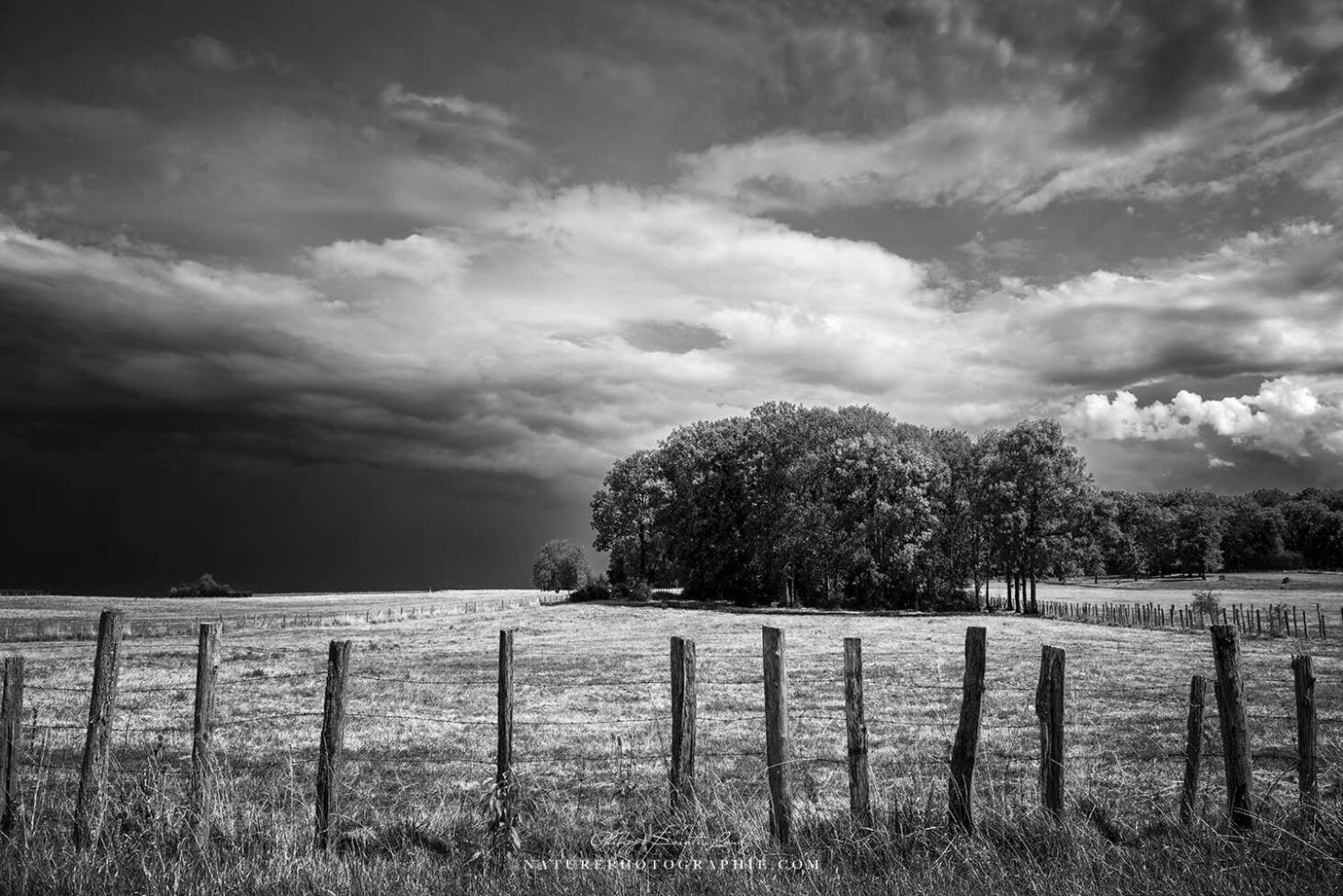 Campagne orageuse ennoir et blanc