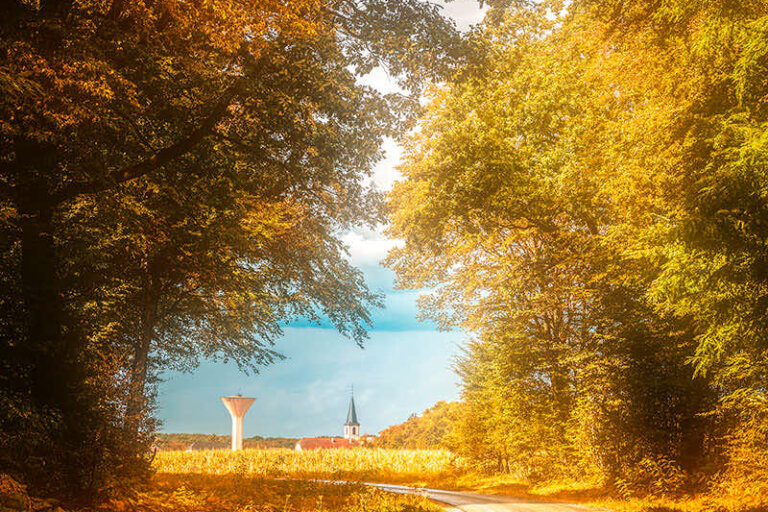 Fin-d’été,-la-saison-cocooning-approche