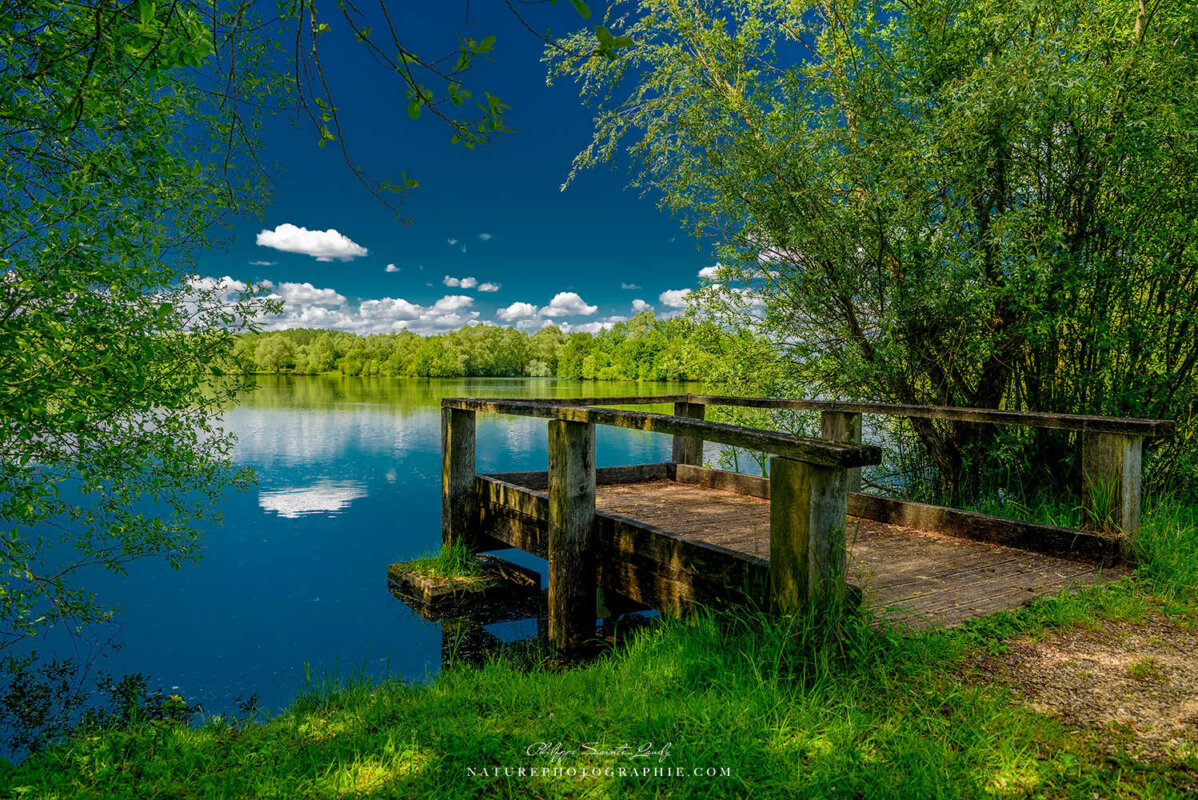 Ponton en été