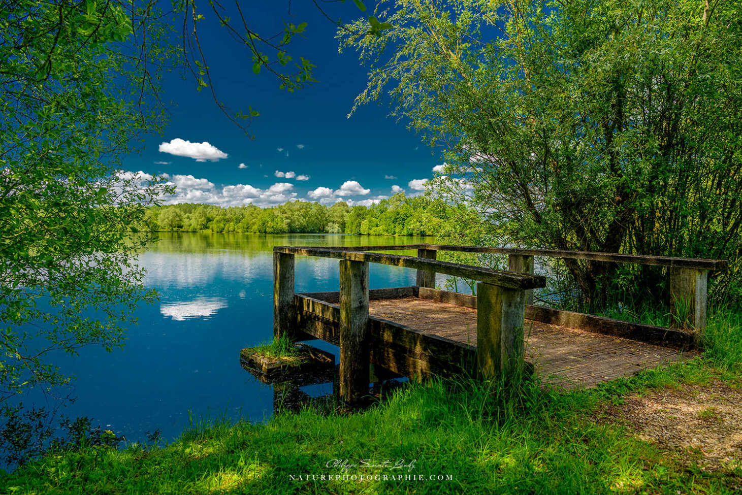 Ponton en été