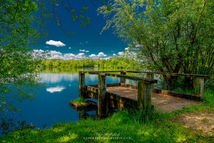 Ponton en été