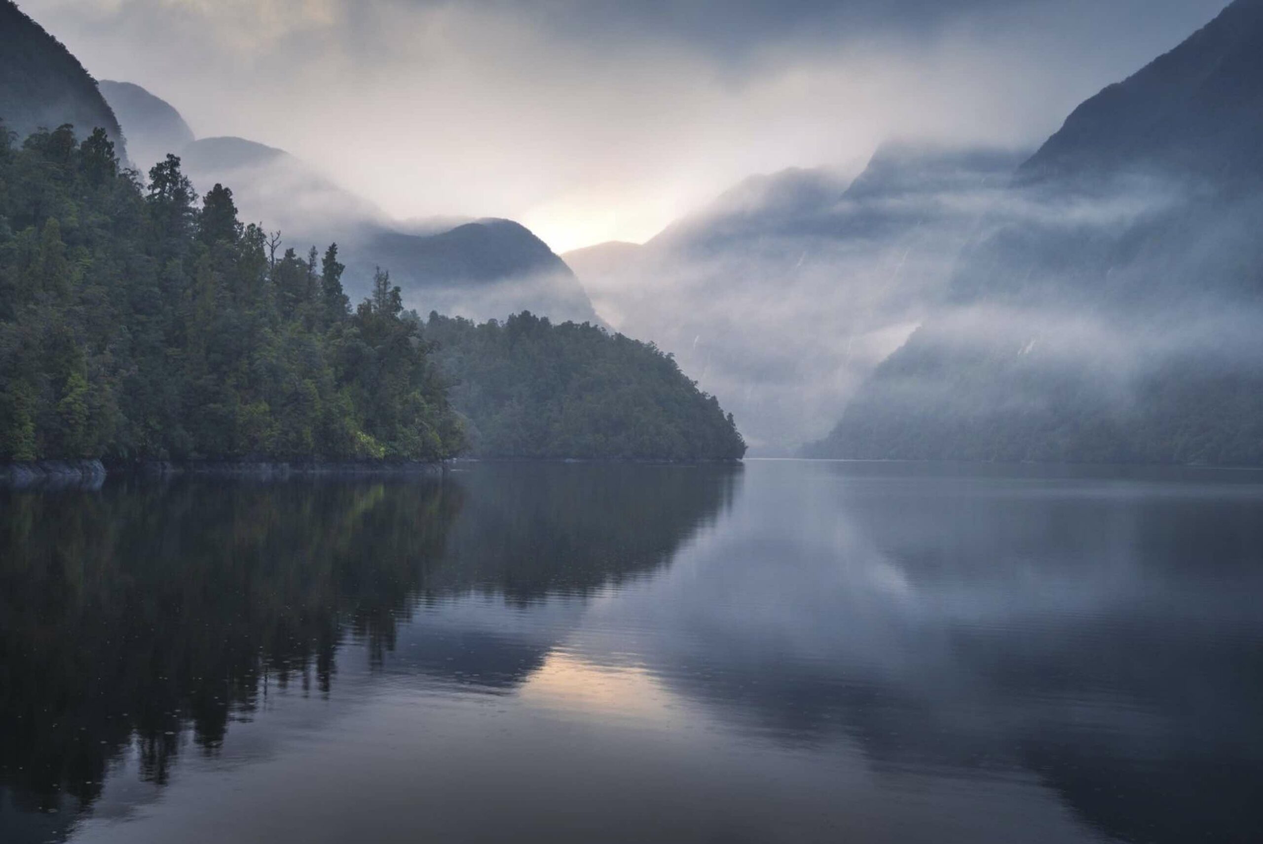 @ William Patino @ William Patino