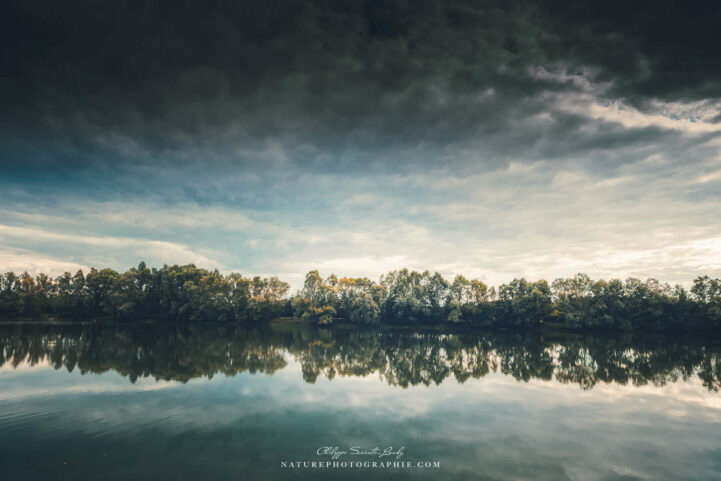 Forêt se reflète dans un lac